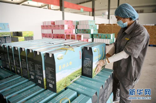 數字橋梁連山海 閩寧攜手以信息技術咨詢服務賦能產業園區脫貧振興